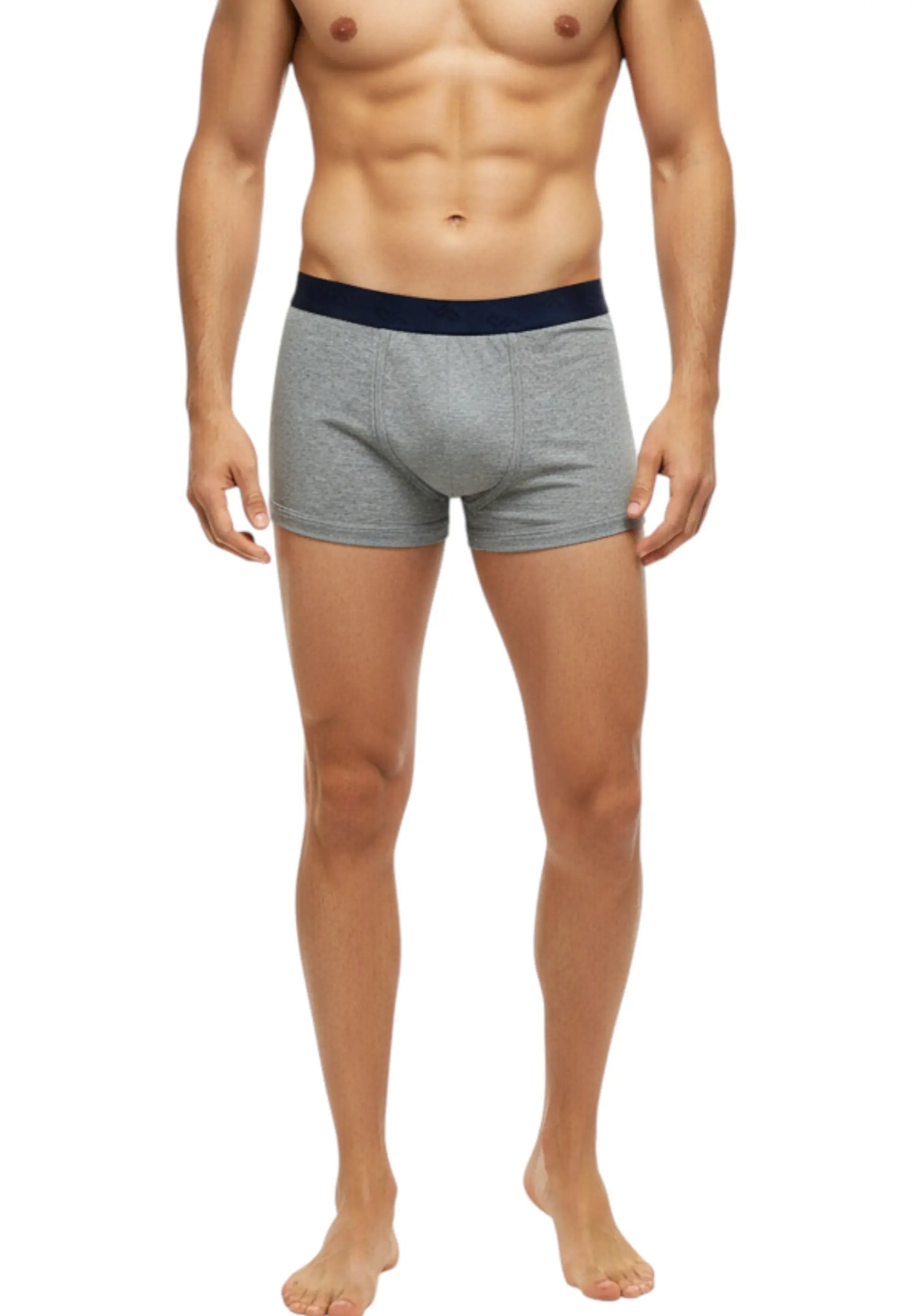 2pack boxer julipet  blu e grigio