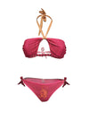 Pin Up stars bikini