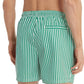 LV00N61045  calvin klein righe verdi costume mare