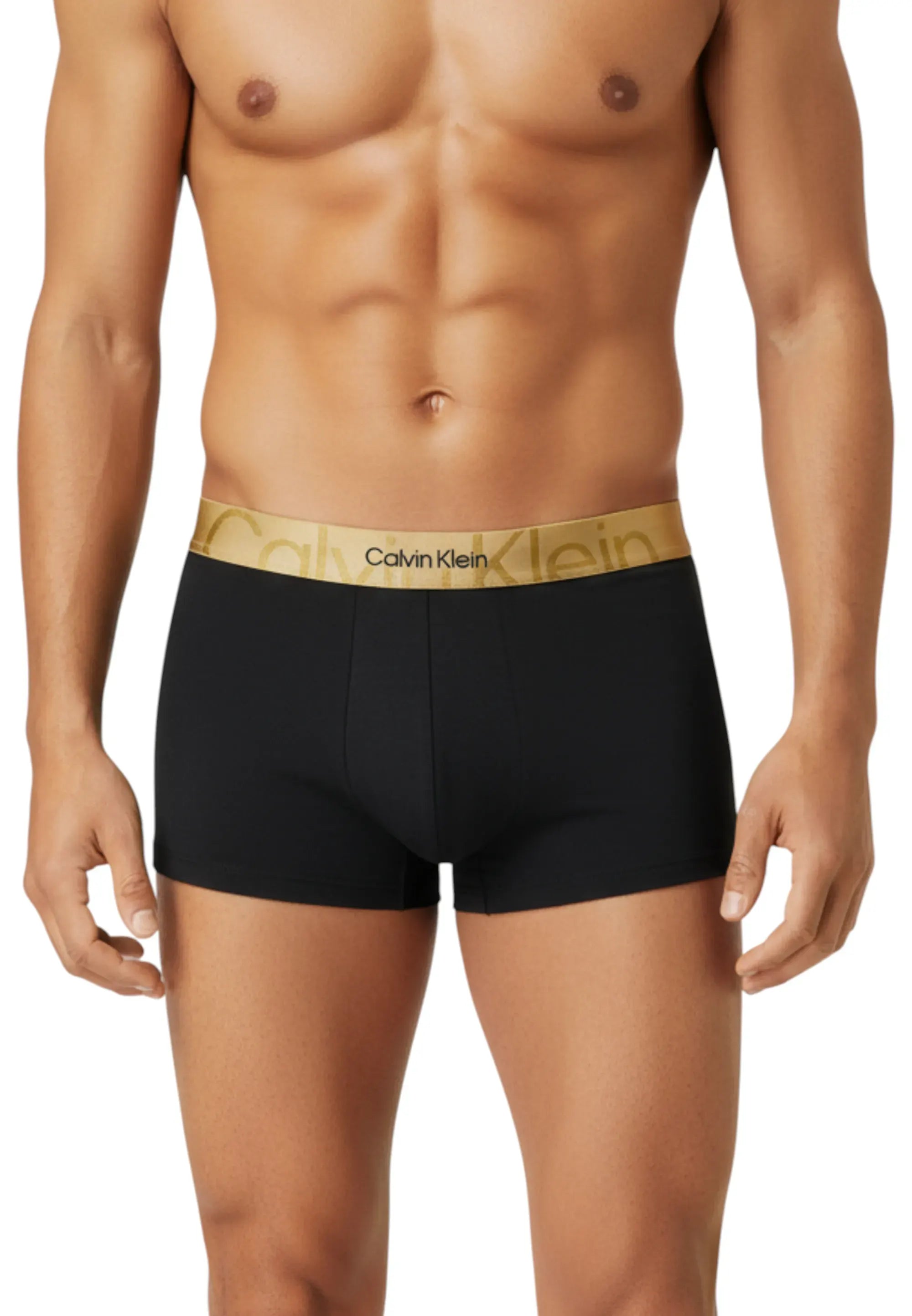 boxer oro ck