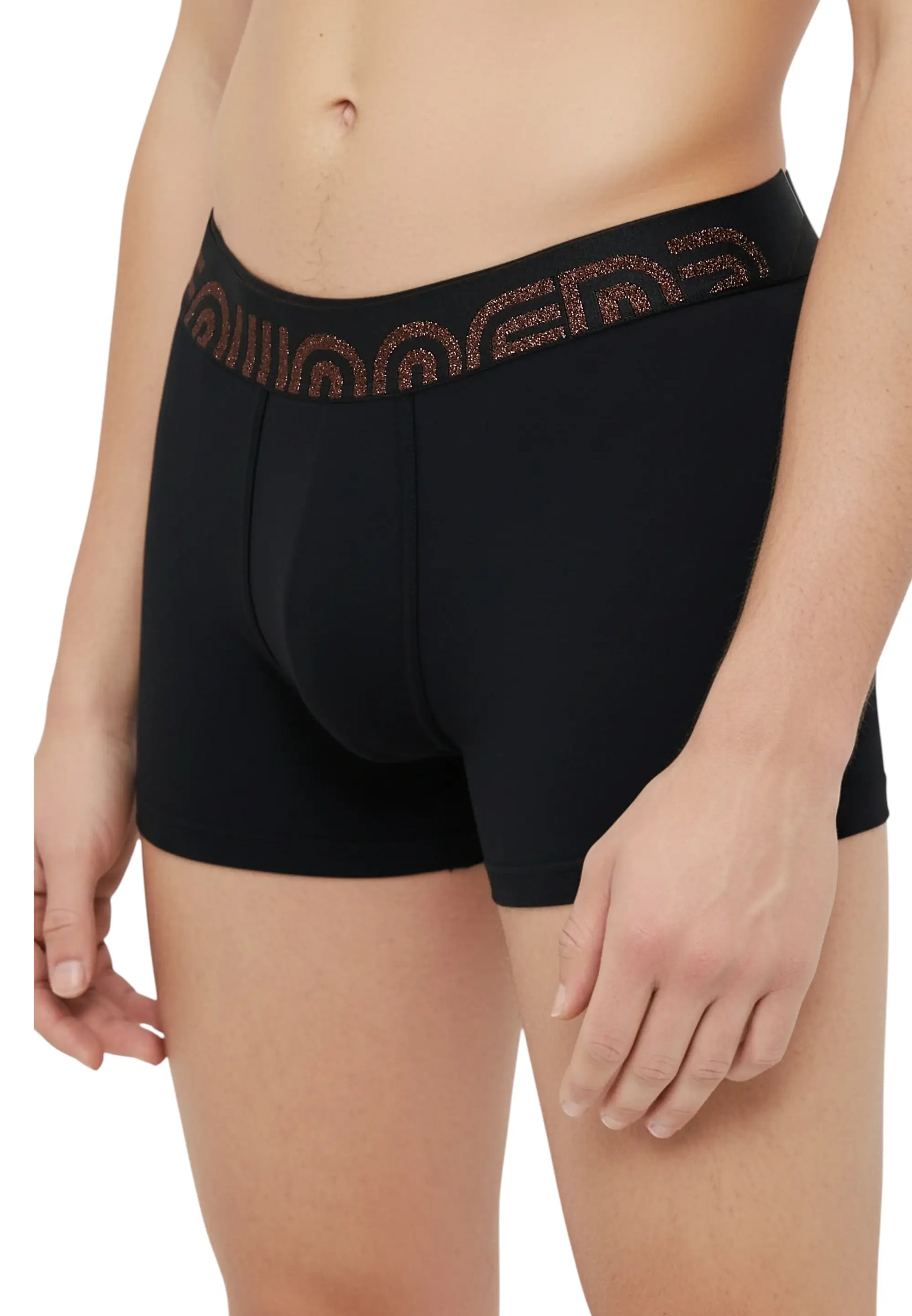 boxerdsqueredbronzoglitternero