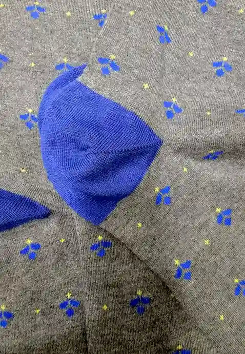 GalloAP516376calzini