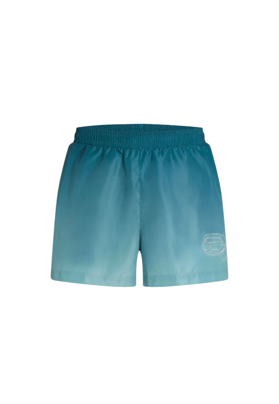 A1M46057 310 IKON OMBRE 