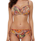saldi costume 2° coppa D