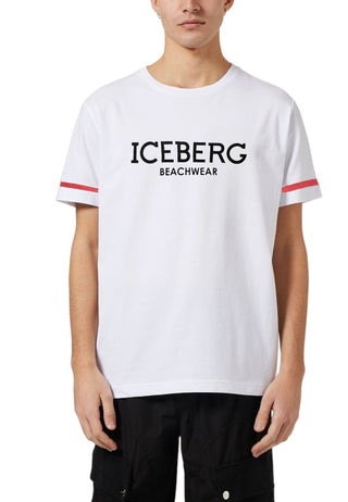 Iceberg summer 2024